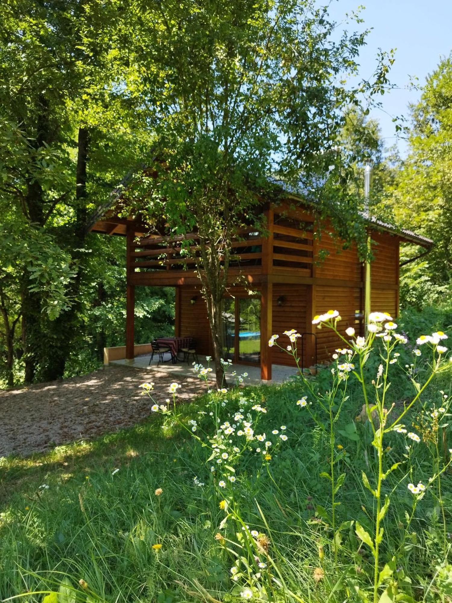 Kuca U Sumi - Forest House Near National Park Una - Air Spa Lohovo Bihać Buitenkant foto