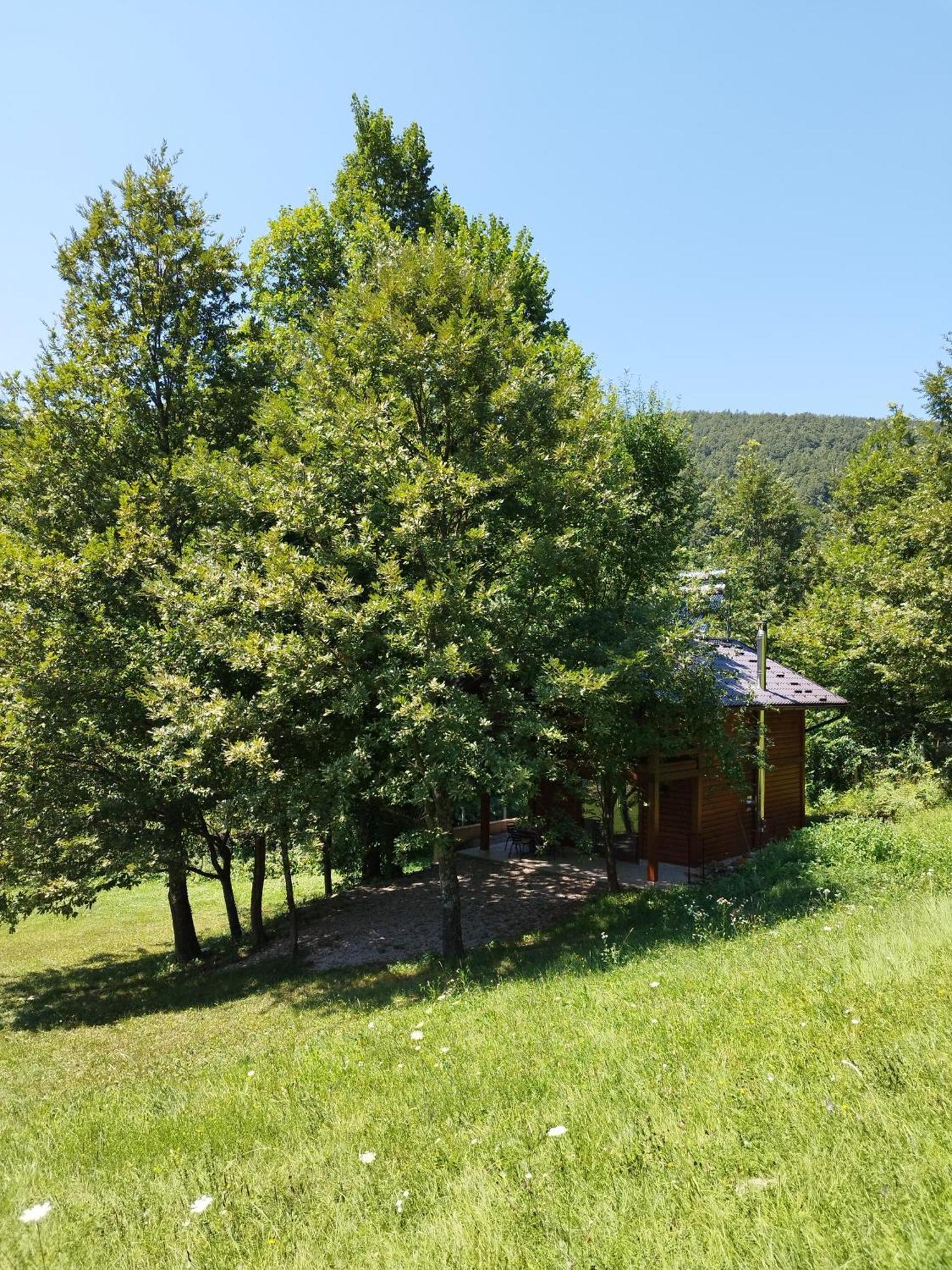 Kuca U Sumi - Forest House Near National Park Una - Air Spa Lohovo Bihać Buitenkant foto